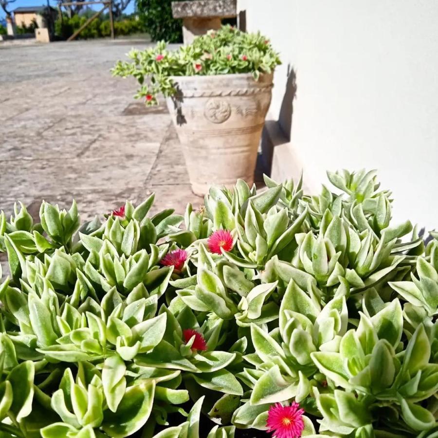 Nicuzza Bed and Breakfast Martano Εξωτερικό φωτογραφία