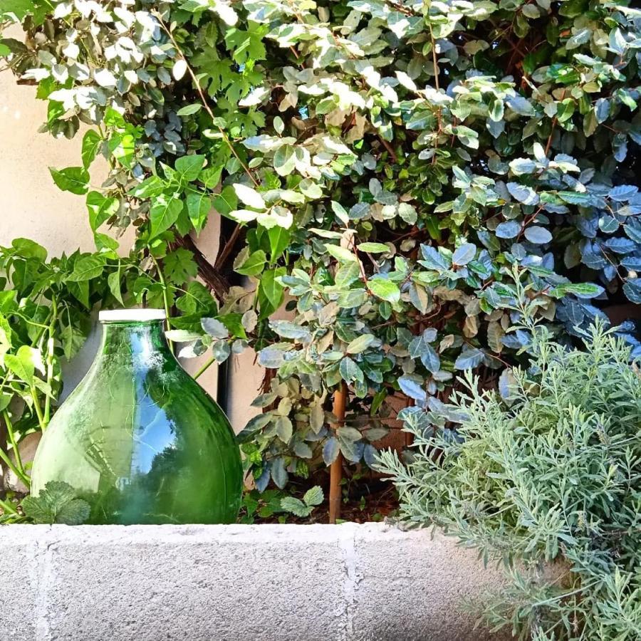 Nicuzza Bed and Breakfast Martano Εξωτερικό φωτογραφία